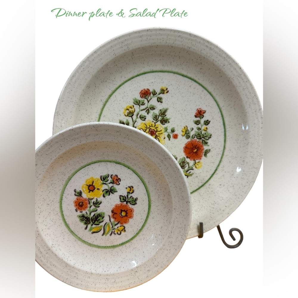 Vintage Homer Laughlin Garden Song 70’s Dinner Plate and Salad/Dessert Plate
